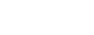 navideiveleni logo white full